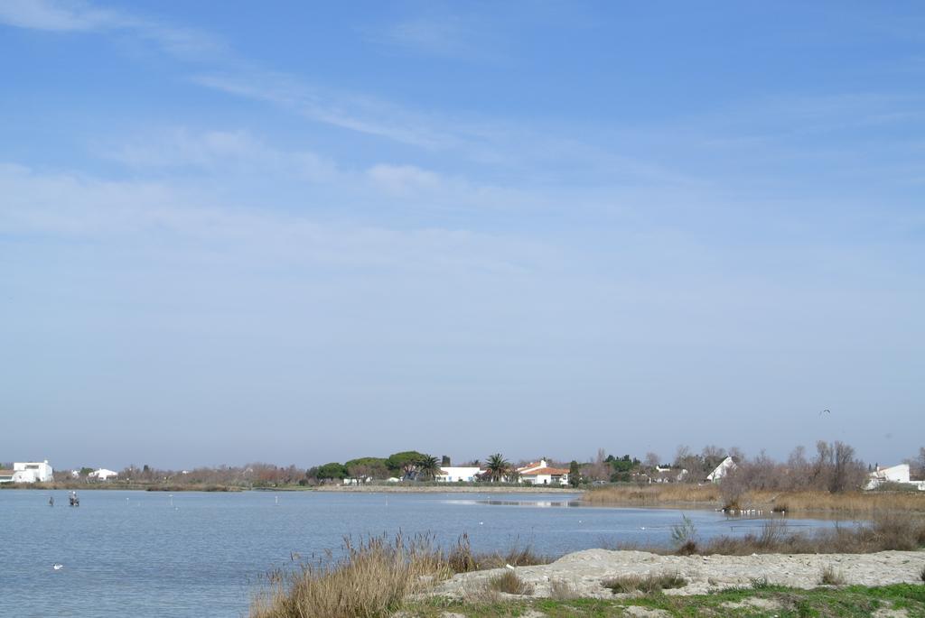 Hotel Les Palmiers En Camargue Saintes-Maries-de-la-Mer Rum bild