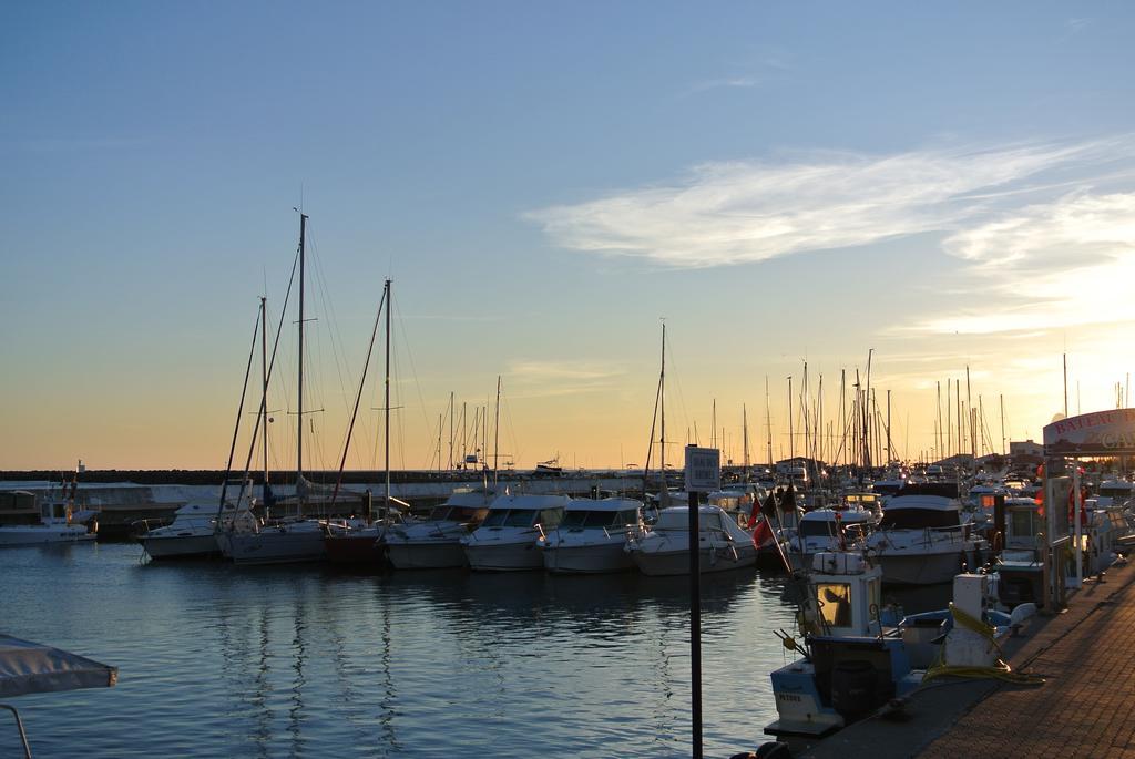 Hotel Les Palmiers En Camargue Saintes-Maries-de-la-Mer Rum bild