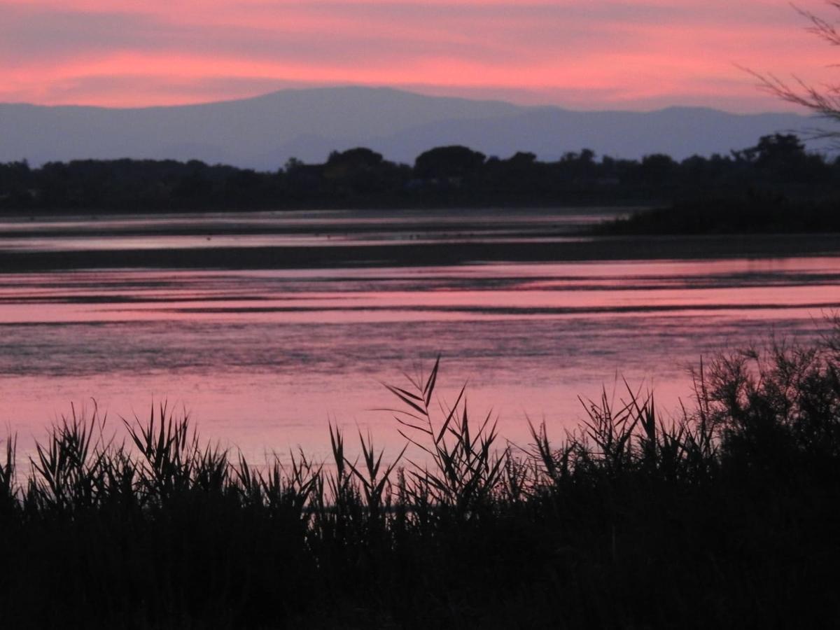 Hotel Les Palmiers En Camargue Saintes-Maries-de-la-Mer Exteriör bild