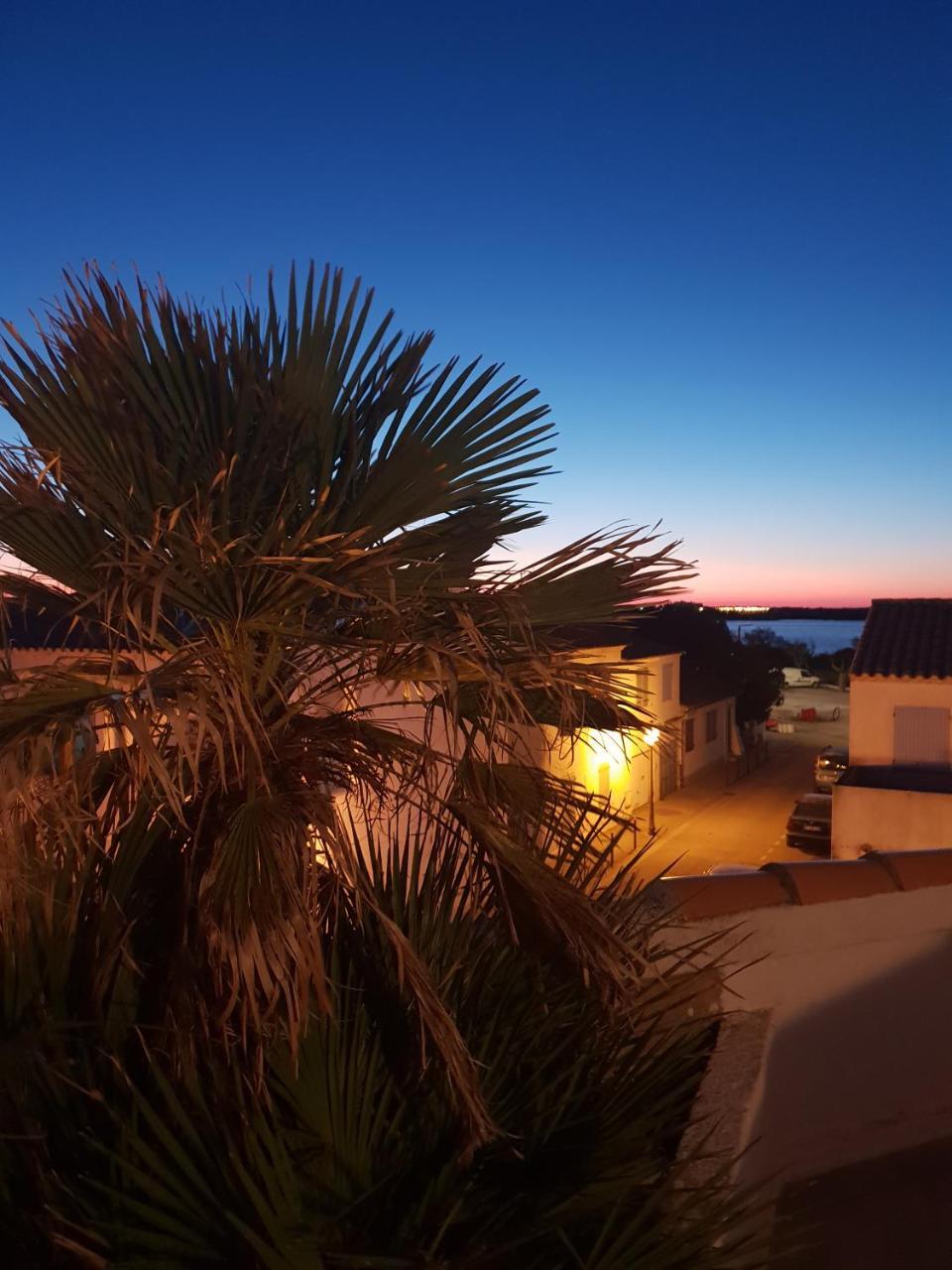 Hotel Les Palmiers En Camargue Saintes-Maries-de-la-Mer Exteriör bild